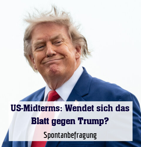 Spontanbefragung