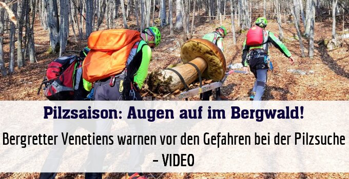 Bergretter Venetiens warnen vor den Gefahren bei der Pilzsuche – VIDEO