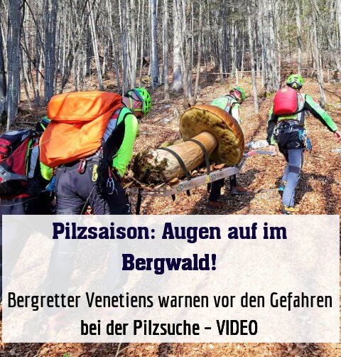 Bergretter Venetiens warnen vor den Gefahren bei der Pilzsuche – VIDEO