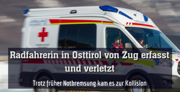 Trotz früher Notbremsung kam es zur Kollision
