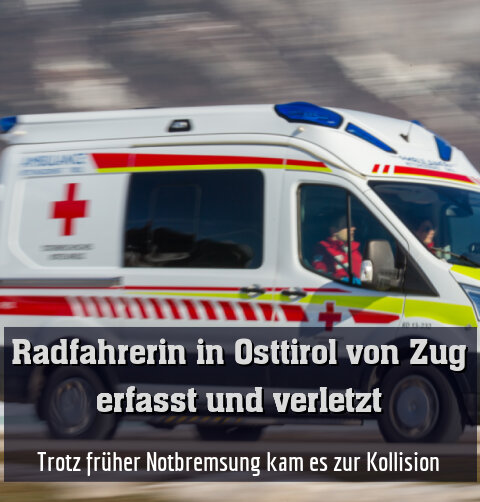 Trotz früher Notbremsung kam es zur Kollision