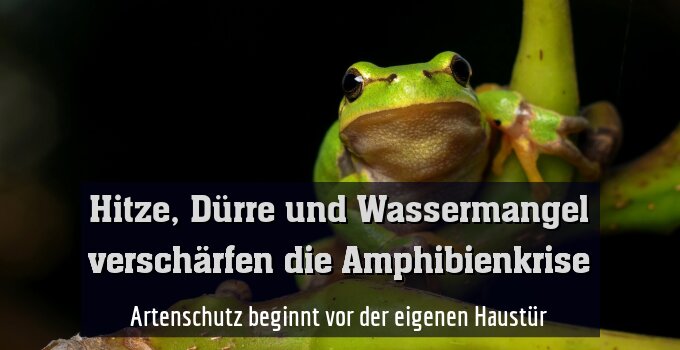 Artenschutz beginnt vor der eigenen Haustür