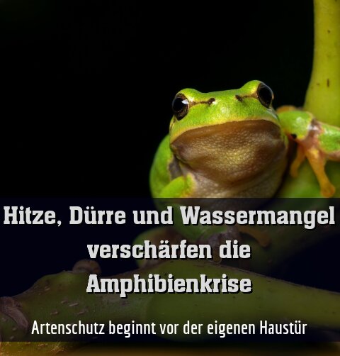 Artenschutz beginnt vor der eigenen Haustür