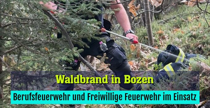 Berufsfeuerwehr und Freiwillige Feuerwehr im Einsatz