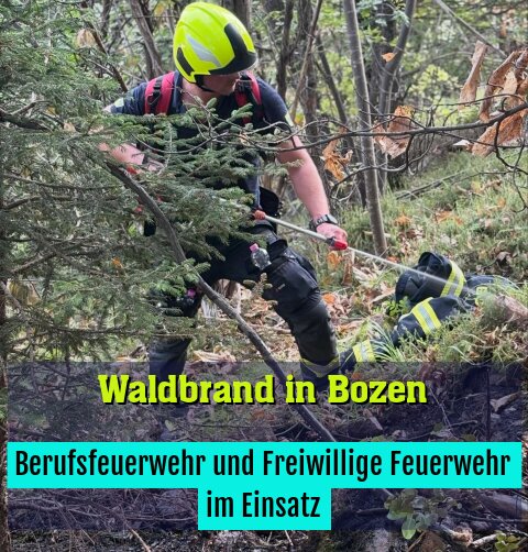 Berufsfeuerwehr und Freiwillige Feuerwehr im Einsatz