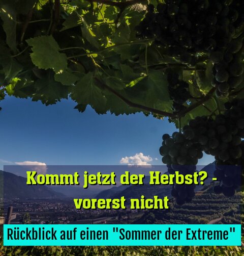 Rückblick auf einen "Sommer der Extreme"