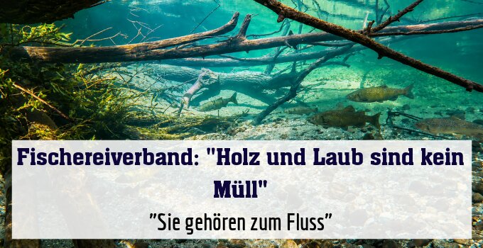 "Sie gehören zum Fluss"
