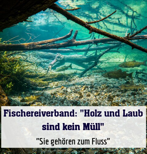 "Sie gehören zum Fluss"