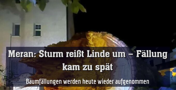 Baumfällungen werden heute wieder aufgenommen