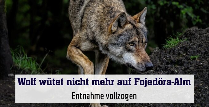 Entnahme vollzogen
