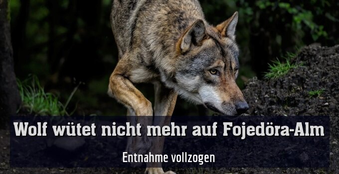 Entnahme vollzogen