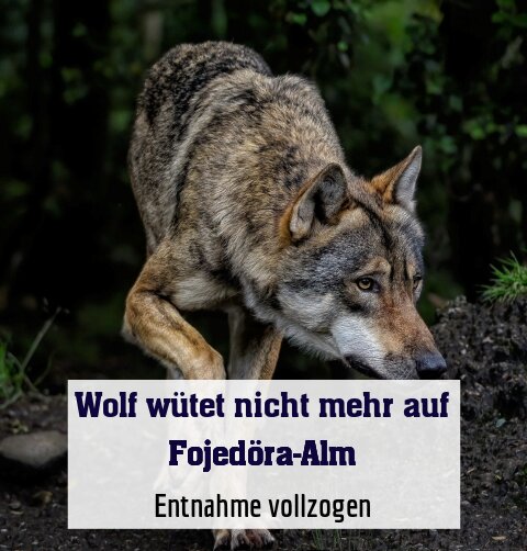 Entnahme vollzogen