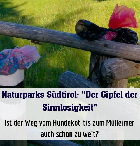 Ist der Weg vom Hundekot bis zum Mülleimer auch schon zu weit?