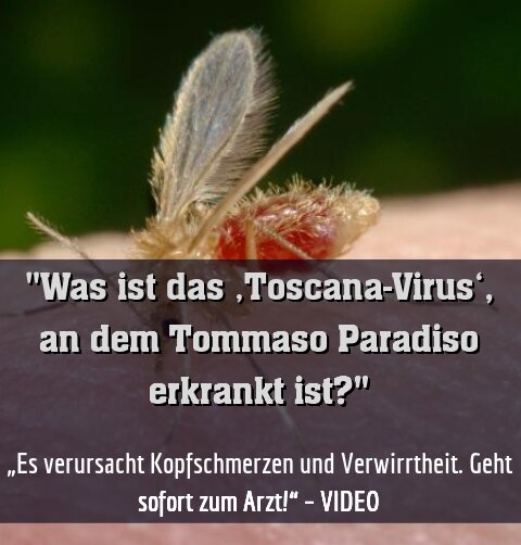 „Es verursacht Kopfschmerzen und Verwirrtheit. Geht sofort zum Arzt!“ – VIDEO
