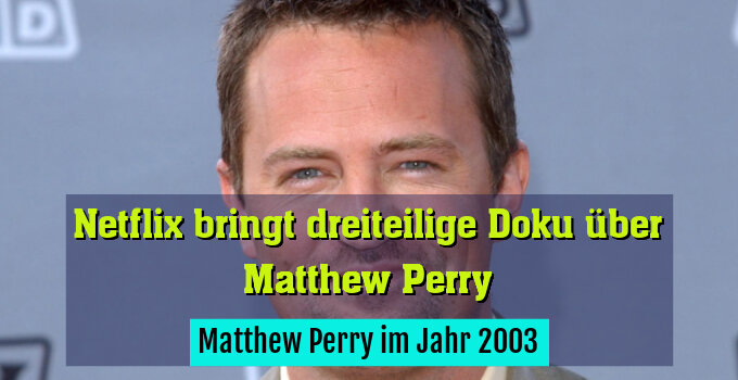 Matthew Perry im Jahr 2003