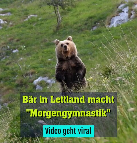 Video geht viral