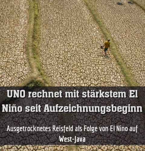 Ausgetrocknetes Reisfeld als Folge von El Nino auf West-Java