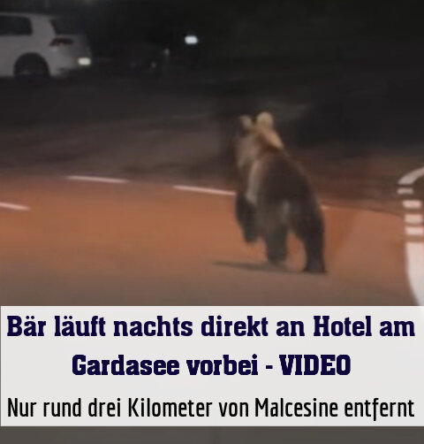 Nur rund drei Kilometer von Malcesine entfernt