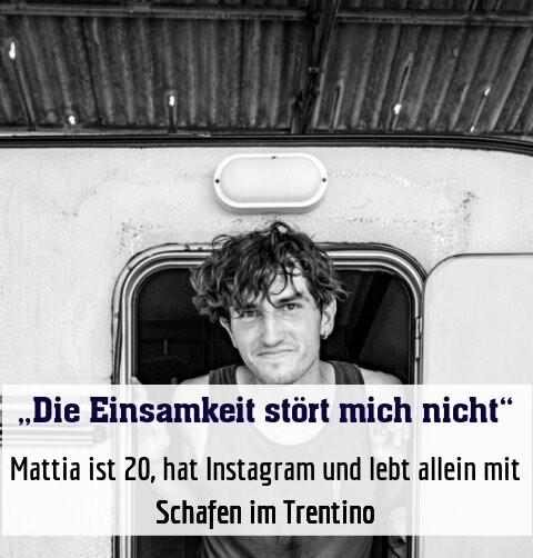 Mattia ist 20, hat Instagram und lebt allein mit Schafen im Trentino