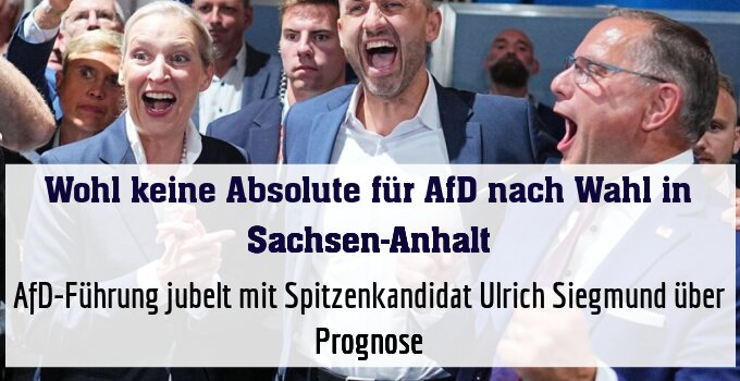 AfD-Führung jubelt mit Spitzenkandidat Ulrich Siegmund über Prognose