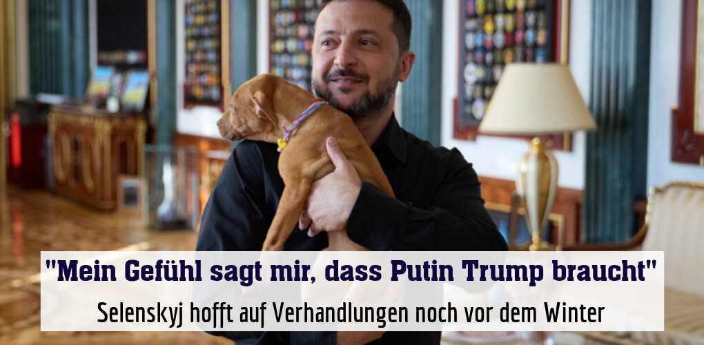 "Mein Gefühl sagt mir, dass Putin Trump braucht"
