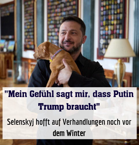 "Mein Gefühl sagt mir, dass Putin Trump braucht"