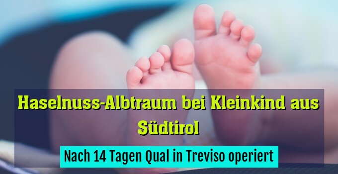 Nach 14 Tagen Qual in Treviso operiert
