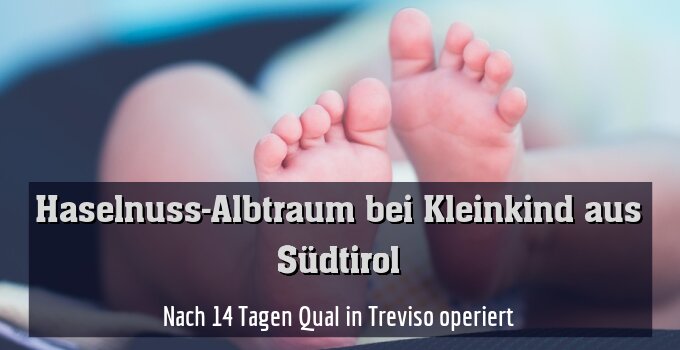 Nach 14 Tagen Qual in Treviso operiert