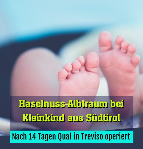 Nach 14 Tagen Qual in Treviso operiert
