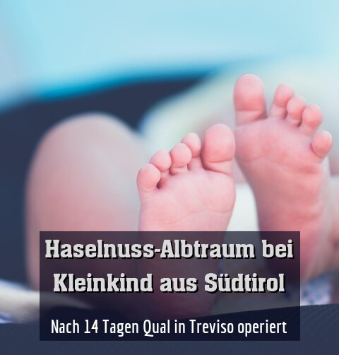 Nach 14 Tagen Qual in Treviso operiert