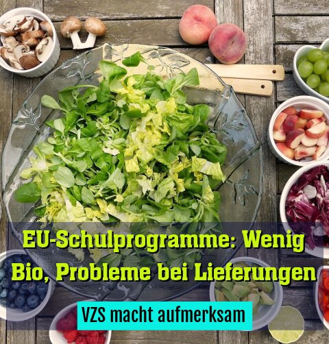 VZS macht aufmerksam