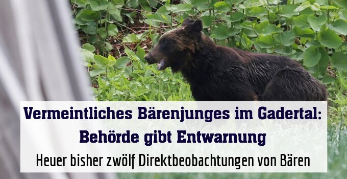 Heuer bisher zwölf Direktbeobachtungen von Bären