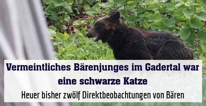 Behörde gibt Entwarnung