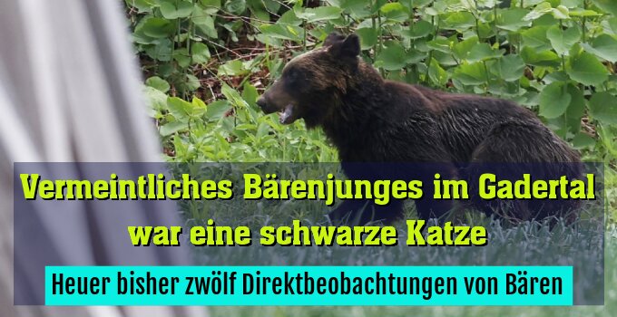 Behörde gibt Entwarnung