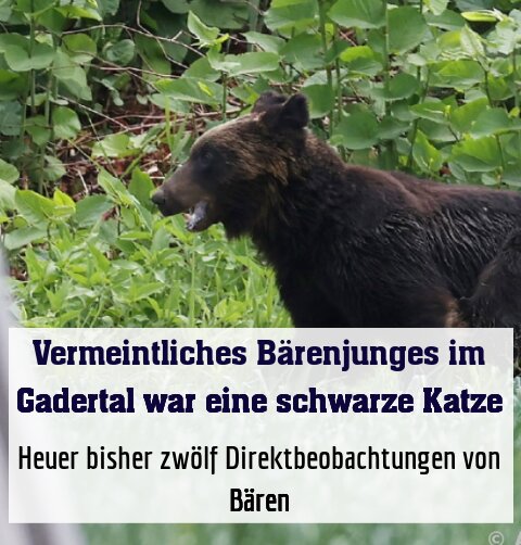 Behörde gibt Entwarnung