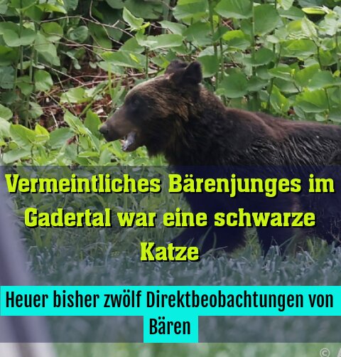 Behörde gibt Entwarnung