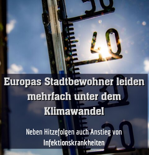 Neben Hitzefolgen auch Anstieg von Infektionskrankheiten