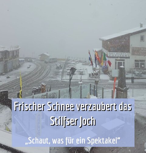 „Schaut, was für ein Spektakel“