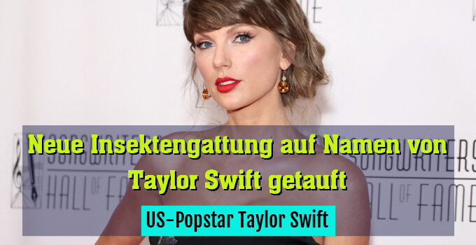 US-Popstar Taylor Swift