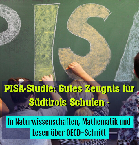 In Naturwissenschaften, Mathematik und Lesen über OECD-Schnitt