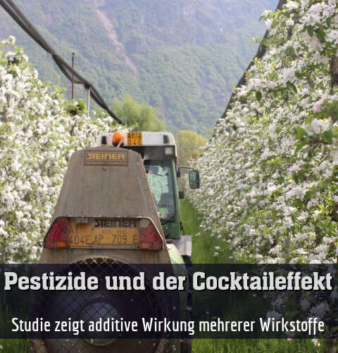 Studie zeigt additive Wirkung mehrerer Wirkstoffe