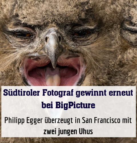 Philipp Egger überzeugt in San Francisco mit zwei jungen Uhus