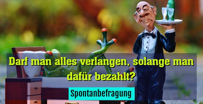 Spontanbefragung