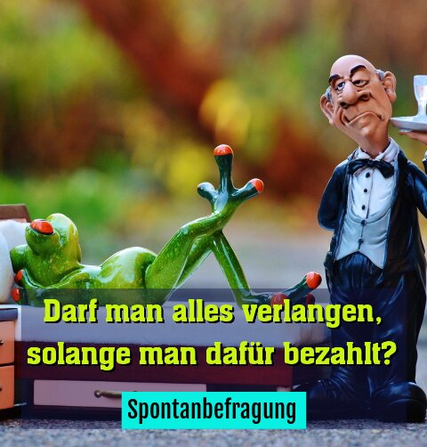 Spontanbefragung