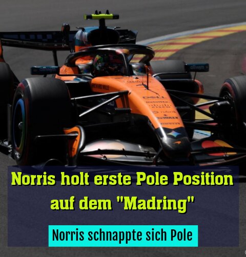 Norris schnappte sich Pole