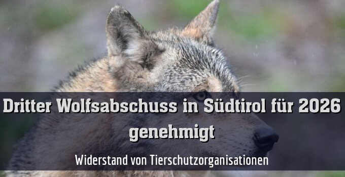 Widerstand von Tierschutzorganisationen