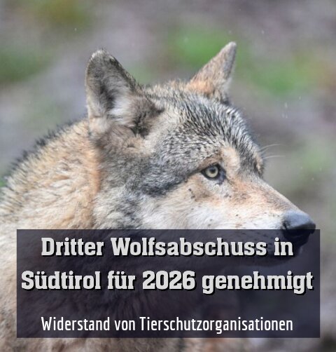 Widerstand von Tierschutzorganisationen