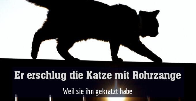 Weil sie ihn gekratzt habe