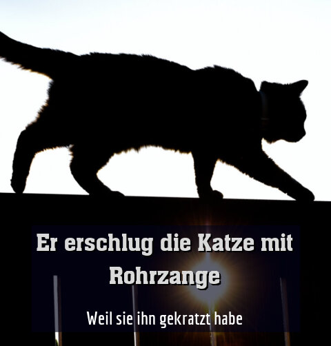 Weil sie ihn gekratzt habe