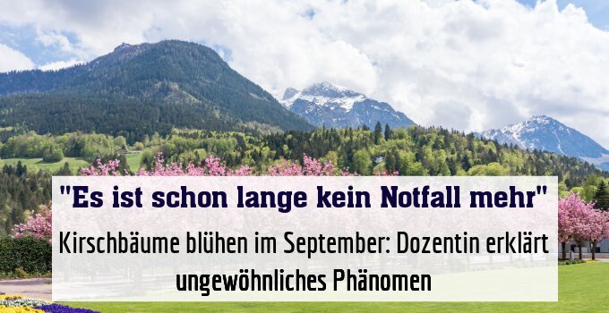 Kirschbäume blühen im September: Dozentin erklärt ungewöhnliches Phänomen